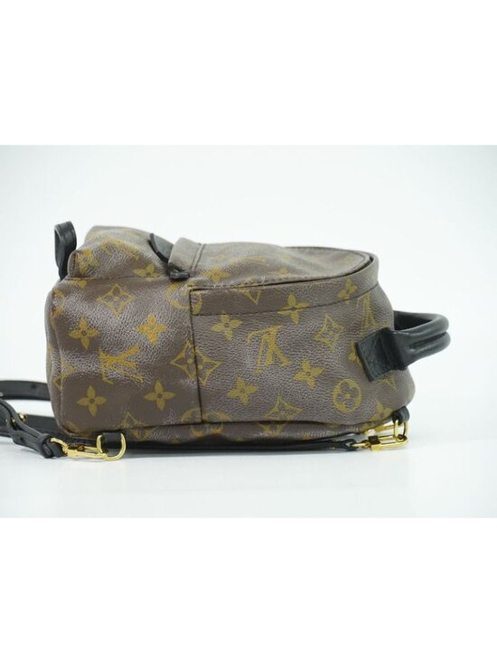Louis Vuitton LV Palm Spring Backpack Mini Monogram Sac Brown main image 9